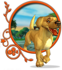 A golden dog with its front paws extending from an ornamental frame
